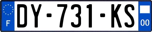 DY-731-KS