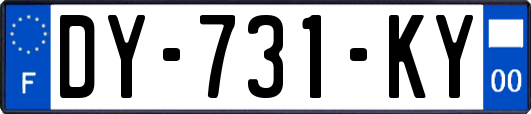 DY-731-KY