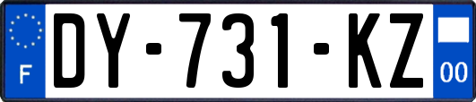 DY-731-KZ