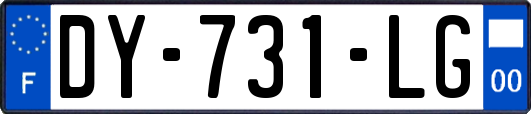 DY-731-LG