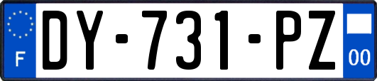 DY-731-PZ