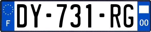 DY-731-RG