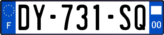 DY-731-SQ
