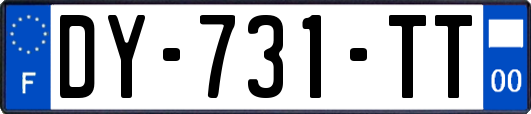 DY-731-TT