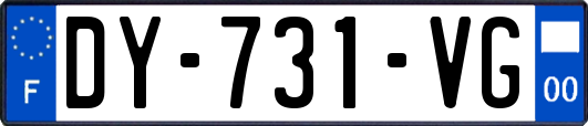 DY-731-VG