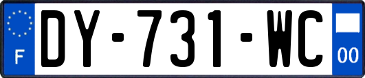 DY-731-WC