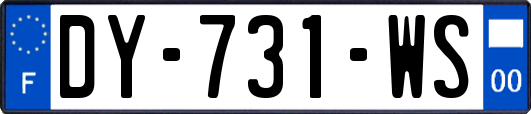 DY-731-WS