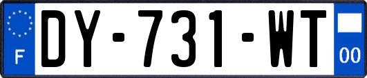 DY-731-WT