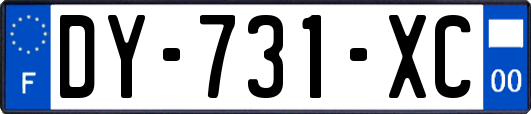 DY-731-XC