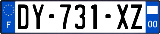 DY-731-XZ