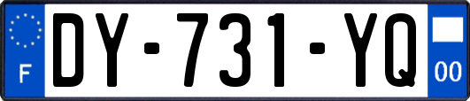 DY-731-YQ
