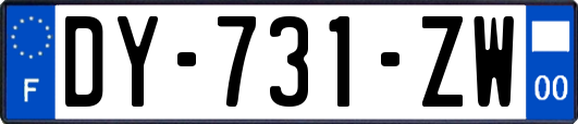 DY-731-ZW