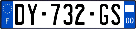 DY-732-GS