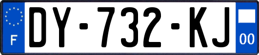 DY-732-KJ