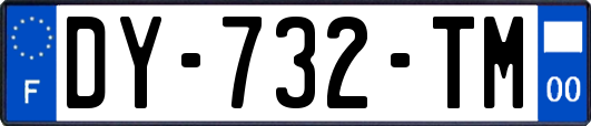 DY-732-TM