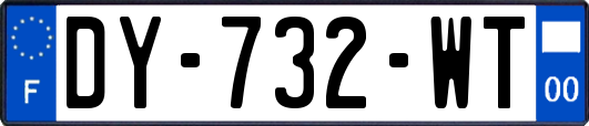 DY-732-WT