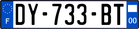 DY-733-BT