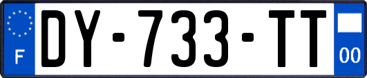 DY-733-TT