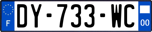 DY-733-WC