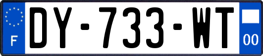 DY-733-WT