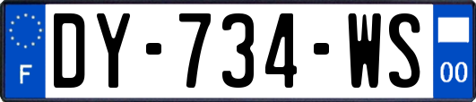 DY-734-WS