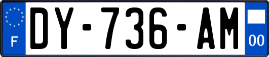 DY-736-AM