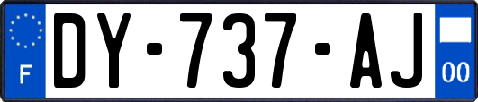 DY-737-AJ