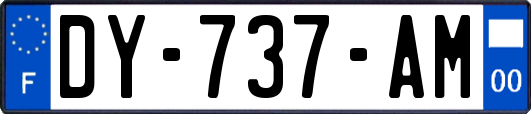 DY-737-AM