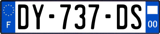 DY-737-DS