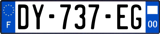 DY-737-EG