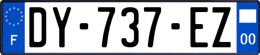 DY-737-EZ