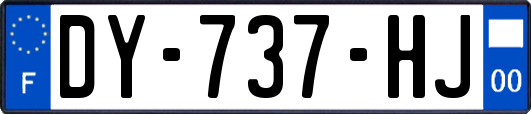 DY-737-HJ