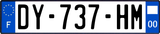 DY-737-HM