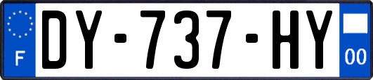 DY-737-HY