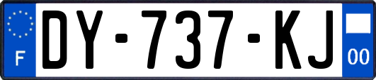 DY-737-KJ