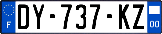 DY-737-KZ