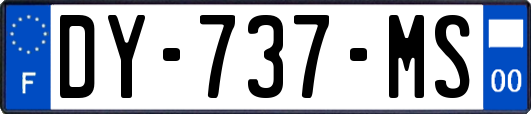 DY-737-MS