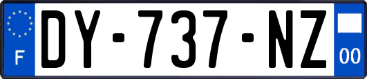 DY-737-NZ