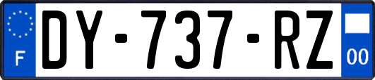 DY-737-RZ