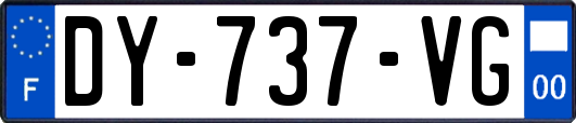 DY-737-VG