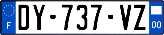 DY-737-VZ