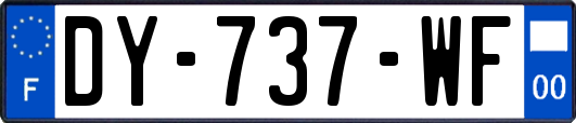 DY-737-WF