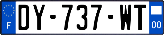 DY-737-WT