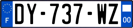 DY-737-WZ