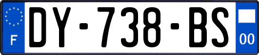 DY-738-BS