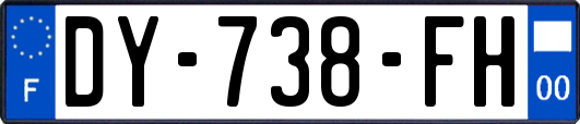 DY-738-FH