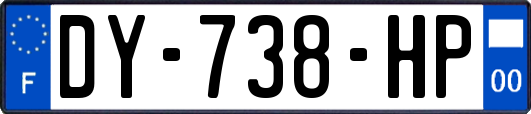 DY-738-HP