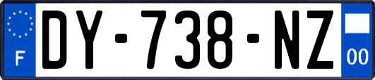 DY-738-NZ