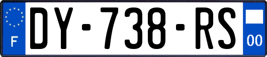 DY-738-RS