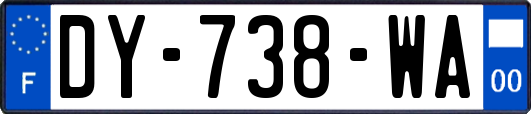 DY-738-WA